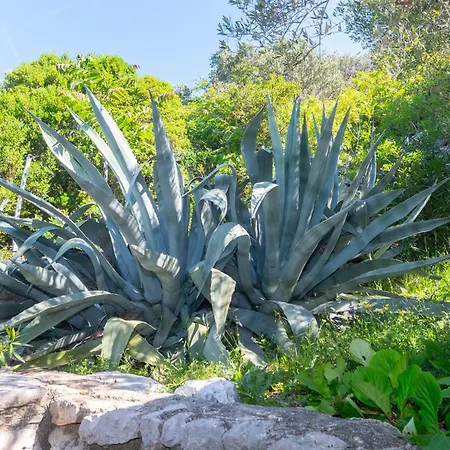 Azure Horizon 빌라