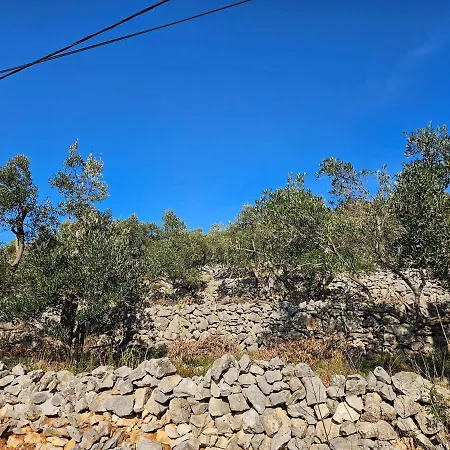 Azure Horizon * Miholascica